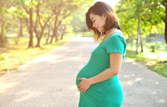 Gravid med en fertilitetsmonitor